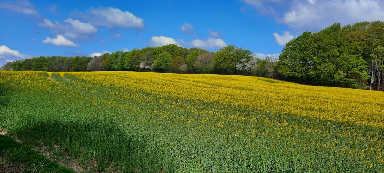 Ferienwohnung Wikingerland Langballig エクステリア 写真