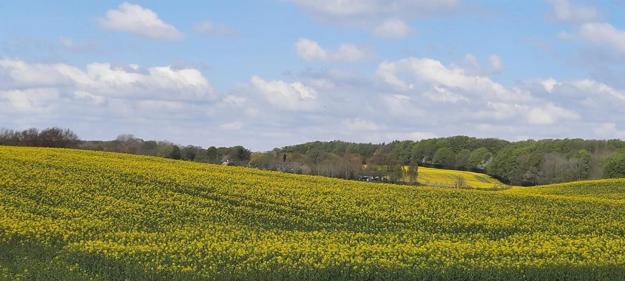 Ferienwohnung Wikingerland Langballig エクステリア 写真