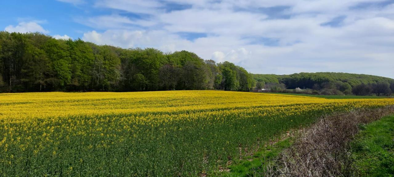 Ferienwohnung Wikingerland Langballig エクステリア 写真